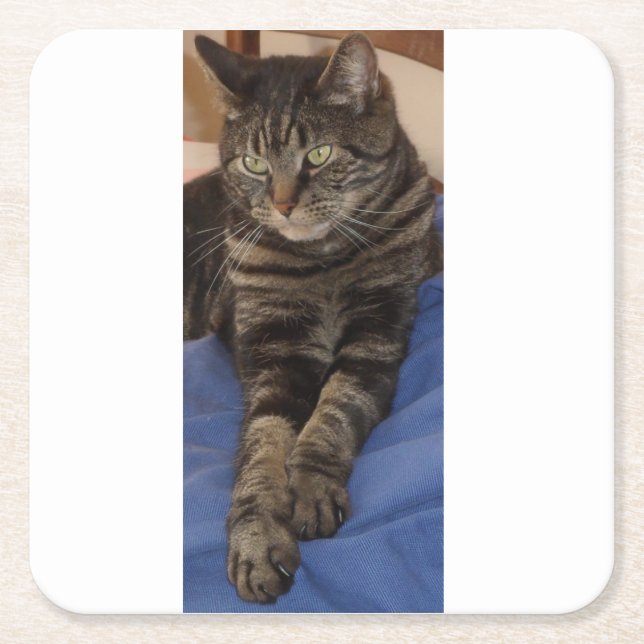 Posavasos Cuadrado De Papel Regal Dave Personalizado Costers (Anverso)