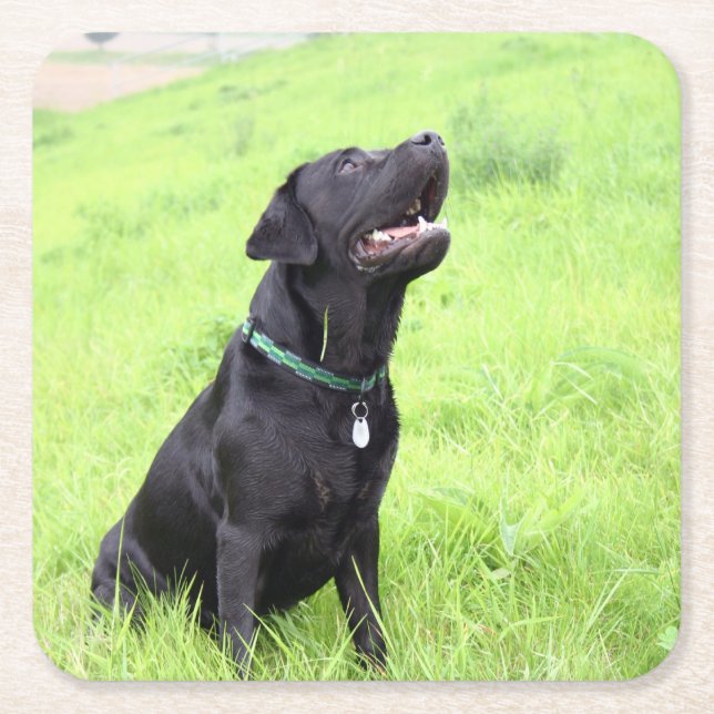 Posavasos Cuadrado De Papel Registro de laboratorio negro (Anverso)