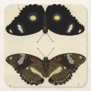 Posavasos Cuadrado De Papel Relevo colorido de la mariposa en el fondo poner