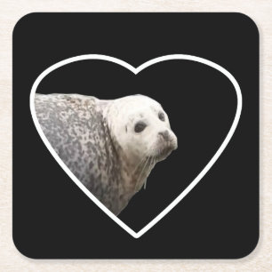 Posavasos Cuadrado De Papel Retrato de adorable foca gris Arte de vida silvest