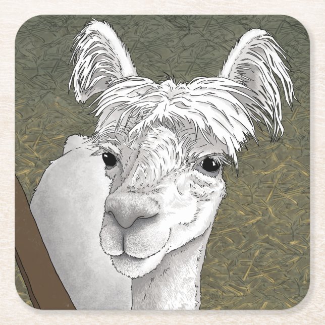 Posavasos Cuadrado De Papel Retrato de Alpaca 2 (Anverso)