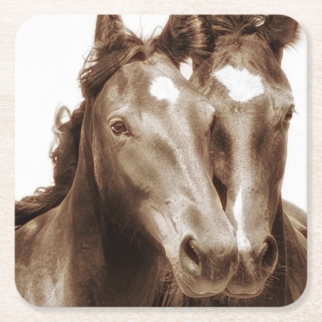 Posavasos Cuadrado De Papel Retrato de caballo III (Anverso)