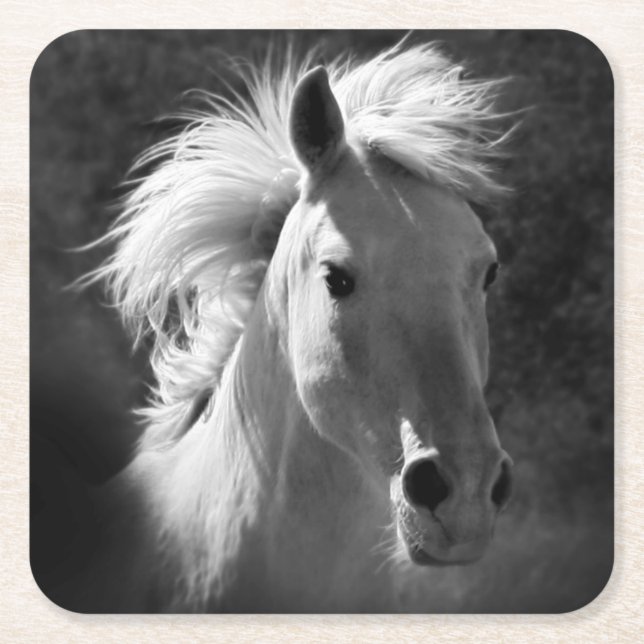 Posavasos Cuadrado De Papel Retrato de caballo V (Anverso)