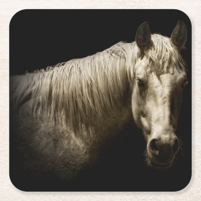 Posavasos Cuadrado De Papel Retrato de caballo VI (Anverso)