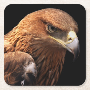 Posavasos Cuadrado De Papel Retrato de Eagle aislado en negro