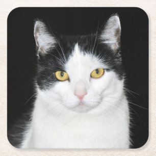 Posavasos Cuadrado De Papel Retrato de gato blanco y negro