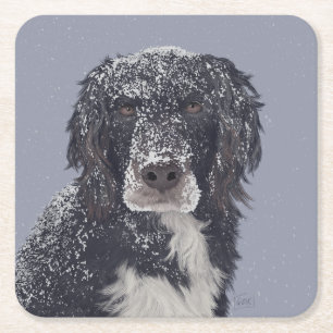 Posavasos Cuadrado De Papel retrato de mascota mezcla de perro spaniel