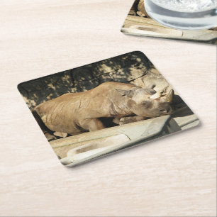 Posavasos Cuadrado De Papel Rhino durmiente