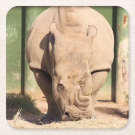 Posavasos Cuadrado De Papel Rinoceronte blanco