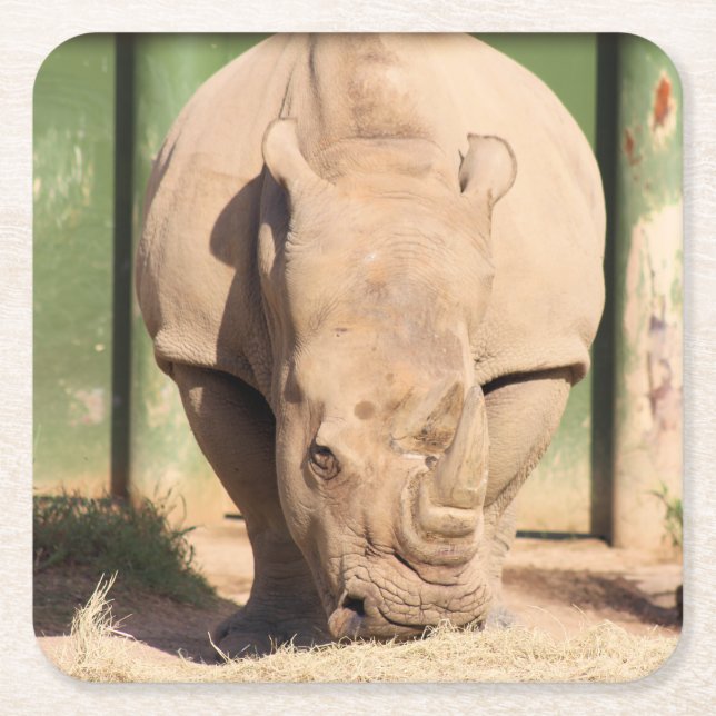 Posavasos Cuadrado De Papel Rinoceronte blanco (Anverso)