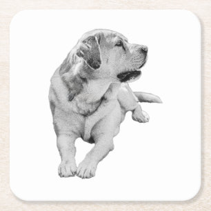 Posavasos Cuadrado De Papel Romper sip, amigo firme