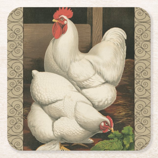 Posavasos Cuadrado De Papel Roosters & Hen afuera de la Casa Hen con la fronte (Anverso)