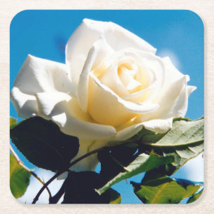 Posavasos Cuadrado De Papel Rosa Blanca Belleza