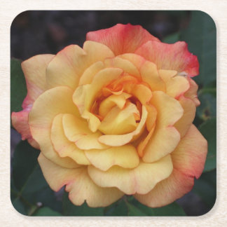 Posavasos Cuadrado De Papel Rosa de paz hermosa floral rosa y amarilla