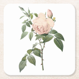 Posavasos Cuadrado De Papel rosa de té fragante de Redouté