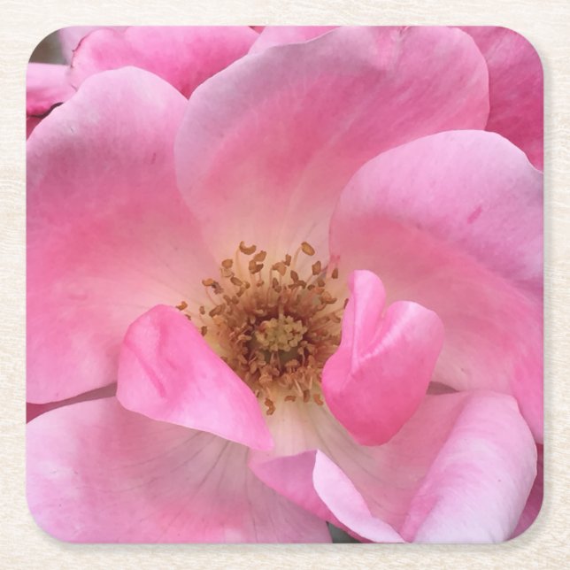 Posavasos Cuadrado De Papel Rosa rosa (Anverso)