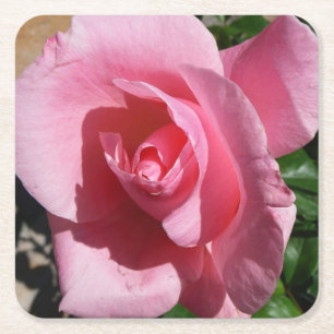 Posavasos Cuadrado De Papel Rosa rosa III Jardín Floral
