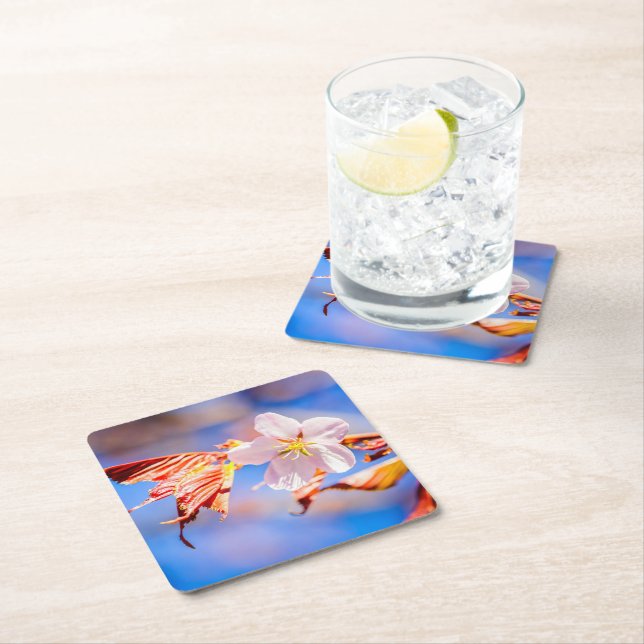 Posavasos Cuadrado De Papel Rosa Sakura Flower Blue Sky (In situ)