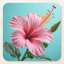 Rubor de Elegancia: Radiancia de Hibisco Rosa
