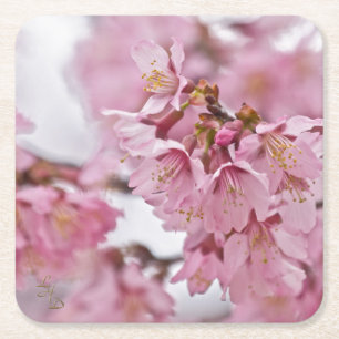Posavasos Cuadrado De Papel Sakura cerezo florece rosa pálido