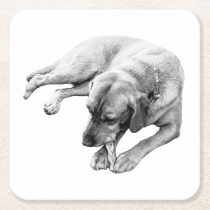 Posavasos Cuadrado De Papel Salto de masas