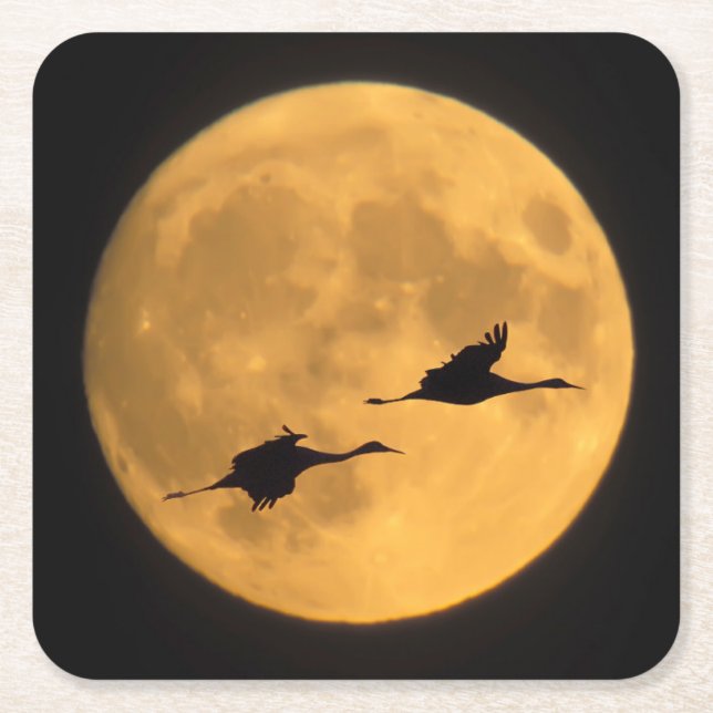 Posavasos Cuadrado De Papel Sandhill Cranes | National Wildlife Reserve (Anverso)