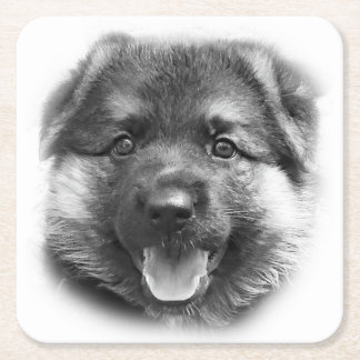 POSAVASOS CUADRADO DE PAPEL ¡SEA COMO BONK!