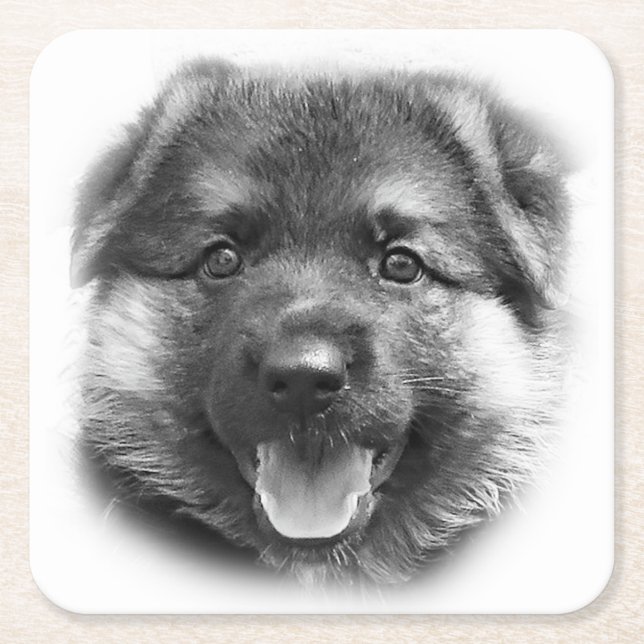 POSAVASOS CUADRADO DE PAPEL ¡SEA COMO BONK! (Anverso)