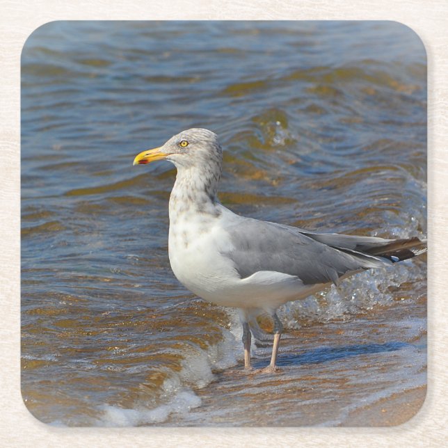 Posavasos Cuadrado De Papel Seagull Fiesta Coaster (Anverso)