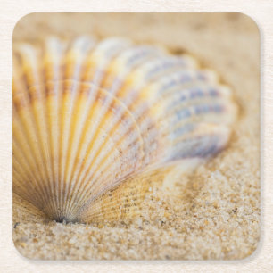 Posavasos Cuadrado De Papel Seashell dulce