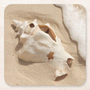 Posavasos Cuadrado De Papel Seashell en la isla caribeña magnífica del turco