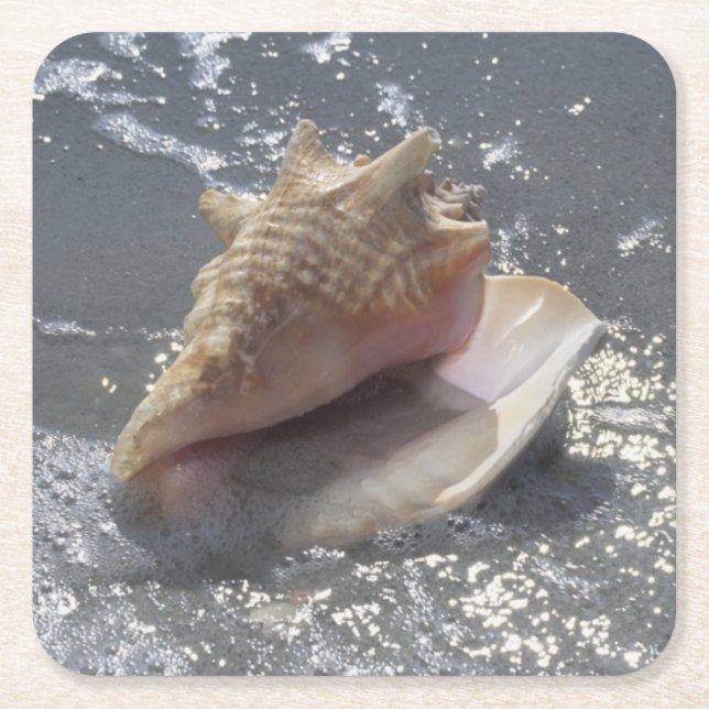 Posavasos Cuadrado De Papel Seashell en la isla de la playa el | Sanibel, la (Anverso)