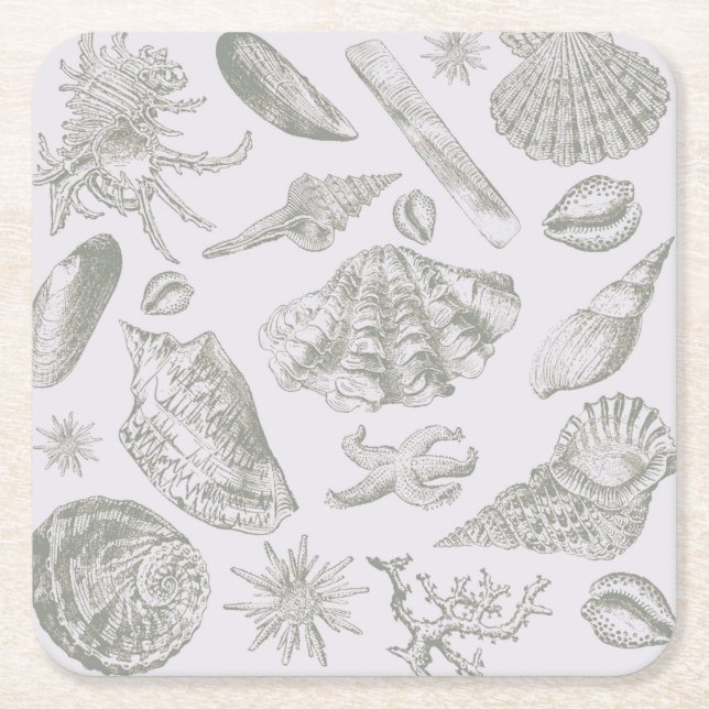Posavasos Cuadrado De Papel Seashell Soft Antique Art Beach Shells (Anverso)