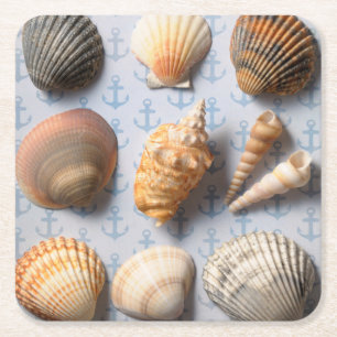 Posavasos Cuadrado De Papel Seashells en el contexto del ancla