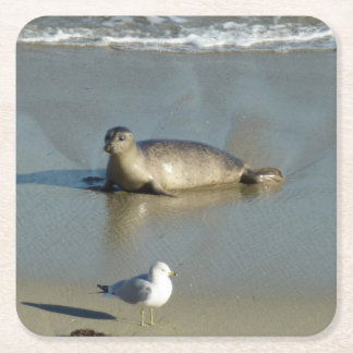 Posavasos Cuadrado De Papel Sello de puerto en La Jolla California