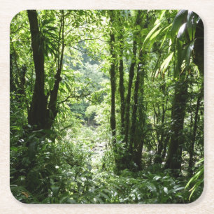 Posavasos Cuadrado De Papel Selva tropical II dominicana de lluvia verde tropi