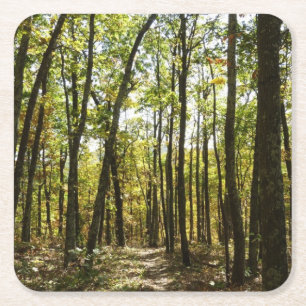 Posavasos Cuadrado De Papel Sendero Apalache en octubre en Shenandoah
