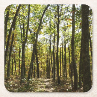Posavasos Cuadrado De Papel Sendero Apalache en octubre en Shenandoah