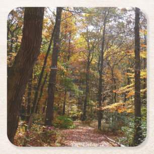 Posavasos Cuadrado De Papel Sendero de Otoño Iluminado por el Sol en Laurel Hi