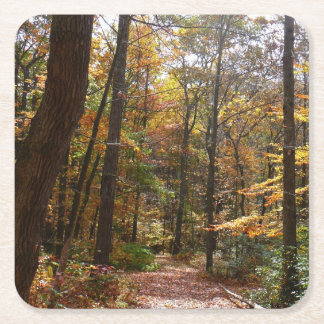 Posavasos Cuadrado De Papel Sendero Sunlit Fall en el Parque Estatal Laurel Hi