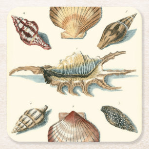 Posavasos Cuadrado De Papel Shell de lujo vara