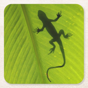 Posavasos Cuadrado De Papel Silueta del Gecko