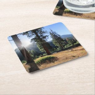 Posavasos Cuadrado De Papel Simpson Meadow - Sierra