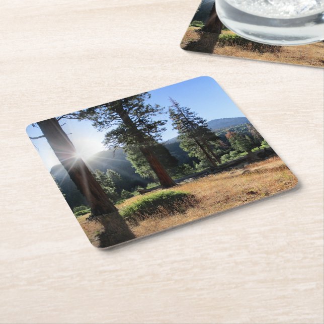 Posavasos Cuadrado De Papel Simpson Meadow - Sierra (En perspectiva)