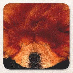 Posavasos Cuadrado De Papel Sleeping Chow