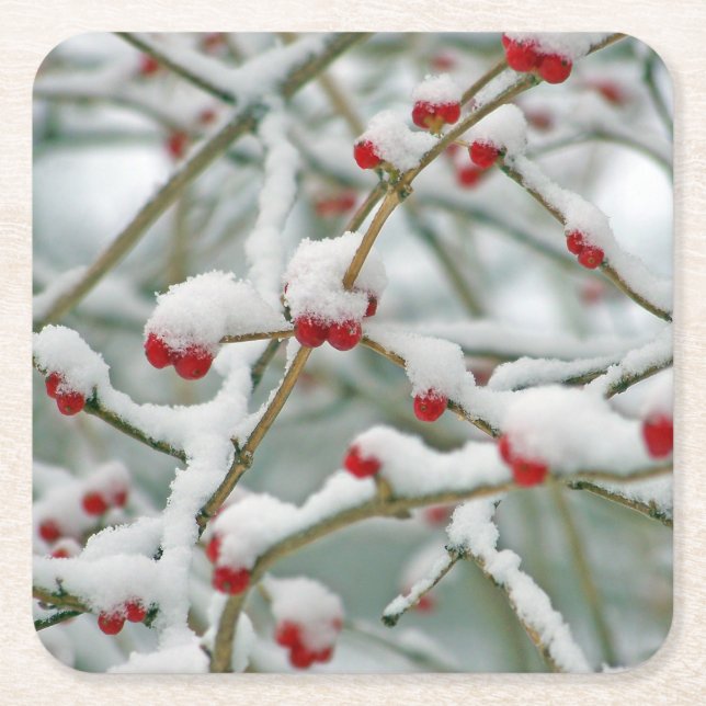 Posavasos Cuadrado De Papel Snowy Red Berries Winter Scene (Anverso)