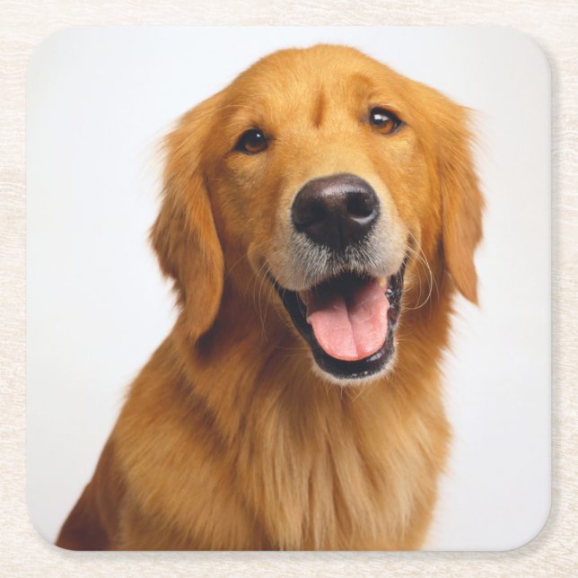 Posavasos Cuadrado De Papel Sonrisa de Golden Retriever (Anverso)