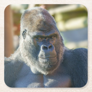 Posavasos Cuadrado De Papel Sorprendente café de Silverback