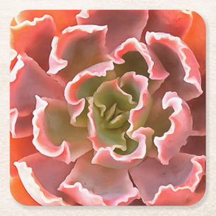 Posavasos Cuadrado De Papel Sorprendente Jardín Suculentos Tonos Rosa Arte Rea