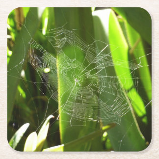 Posavasos Cuadrado De Papel Spiderweb en la naturaleza de las hojas tropicales